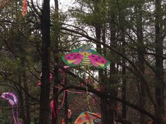 -人民公园(罗湖区)