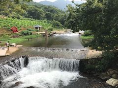 -广州市石门国家森林公园