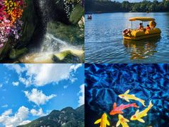 -秦岭终南山世界地质公园翠华山景区