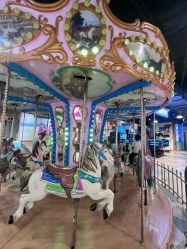 -卡通尼·Safari非洲探索乐园·生日会(金桥国际商业广场店)