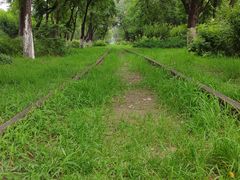 -永定河休闲森林公园