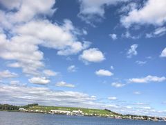 -呼兰河口湿地公园