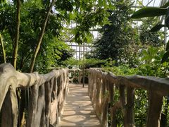 -南山植物园