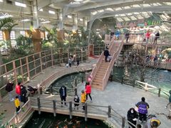 -南宫五洲植物乐园