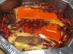 红锅底-蜀九香火锅(九眼桥店)