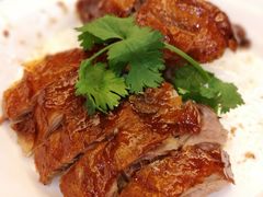 椿记烧鹅-椿记烧鹅(叠彩店)