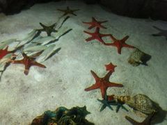 -福州罗源湾海洋世界旅游区