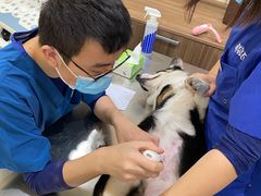 -萌兽医馆·犬猫专科·眼科中心·宠物医院(朝阳门分院)