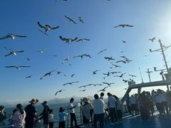 -那香海钻石沙滩浴场