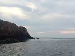 -枸杞岛