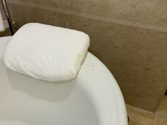 -深圳星河丽思卡尔顿酒店