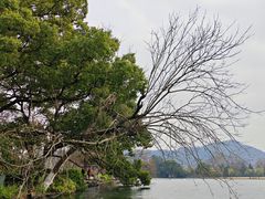 -西湖游船