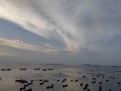 -枸杞岛