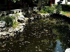 -郑和公园