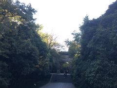 -灵谷景区