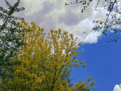 -长白岛森林公园