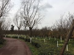 -白鹭湾湿地公园