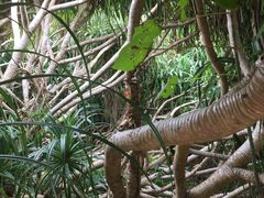 -龙坑生态保护区