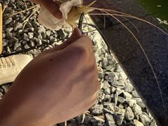 -DGE季风钓虾营地·团建·聚会
