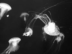 -波塞冬旅游度假区