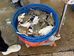 -中国舟山国际水产城