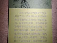 -烟台市博物馆
