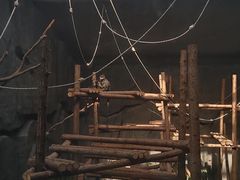 -武汉动物园