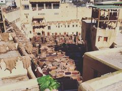 -穆莱拉赫制革厂