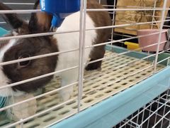 -UltraForce超源健身私教工作室(长楹天街精品店)