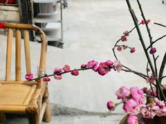 -悟饮门市景店