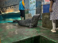 -嘉兴海底世界