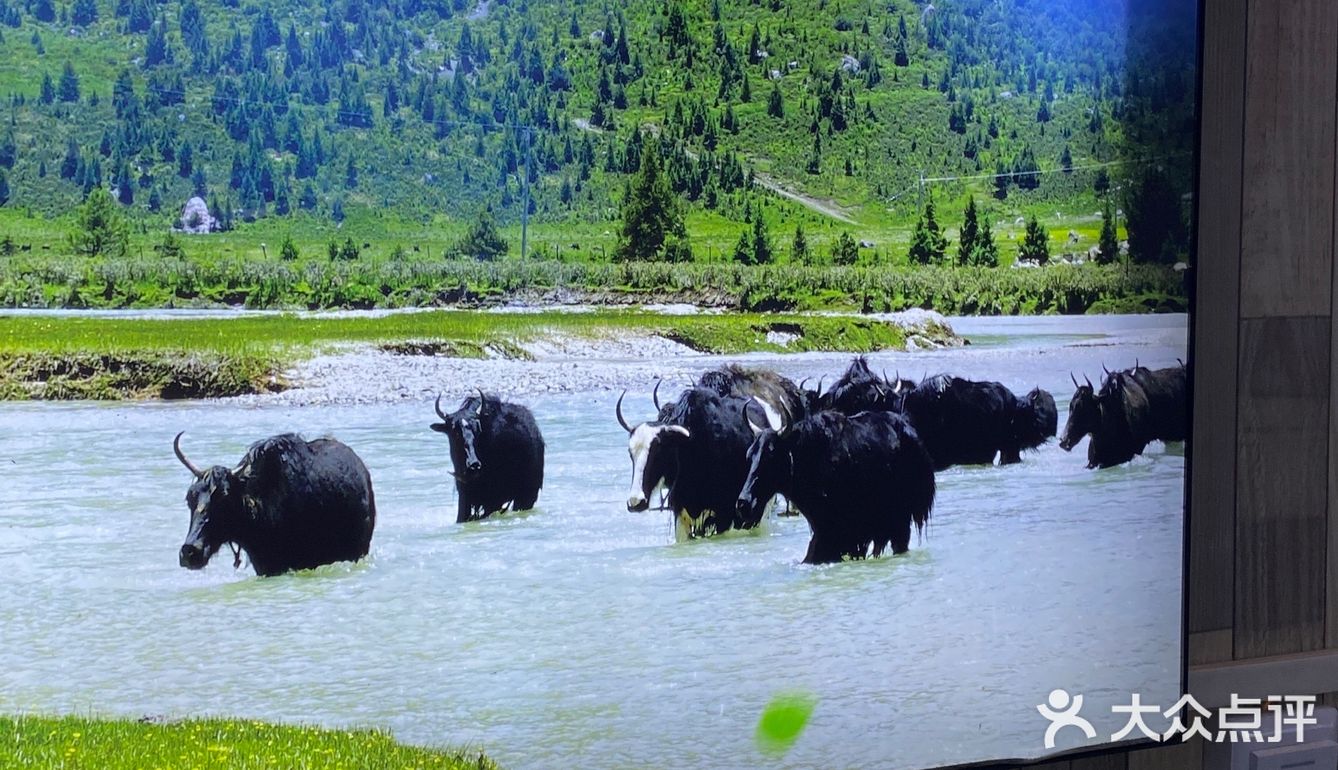 吃了个底儿掉，也出了一身汗，好爽！