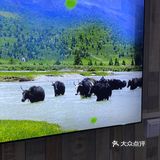 吃了个底儿掉，也出了一身汗，好爽！