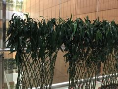 -首都医科大学附属北京潞河医院