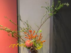 -蘇锦宴·淮扬菜烤鸭·小院(三元桥霄云路店)
