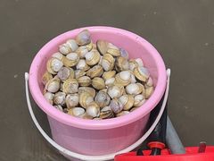 -启东黄金海滩景区