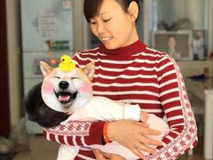-田螺阿姨自营月嫂·育儿嫂(高新店)