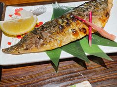 -鸟鹏烧鸟居酒屋(熙龙湾店)