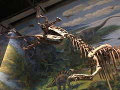 -自贡恐龙博物馆