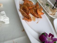 -云中小雅