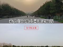 -汉长安城未央宫国家考古遗址公园