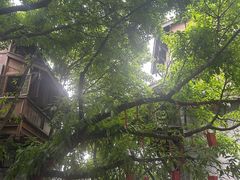 -重庆十八梯传统风貌区