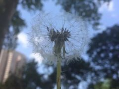 -西安外国语大学(雁塔校区)