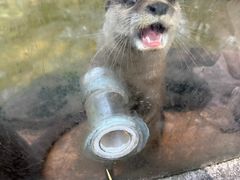 -杭州野生动物世界