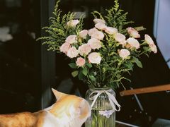 -WATER CAFE(广厦店)