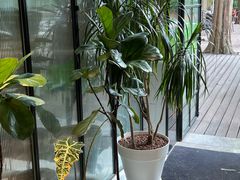 -一尺花园(安和花园店)