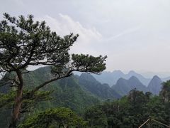 -大连天门山国家森林公园
