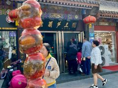 -糖葫芦王保定名吃(古莲花池店)