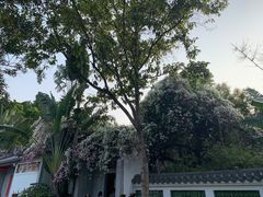 -深圳国际园林花卉博览园