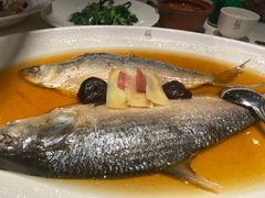 招牌鸡油花雕蒸鲥鱼-苏浙汇(肇嘉浜路总店)
